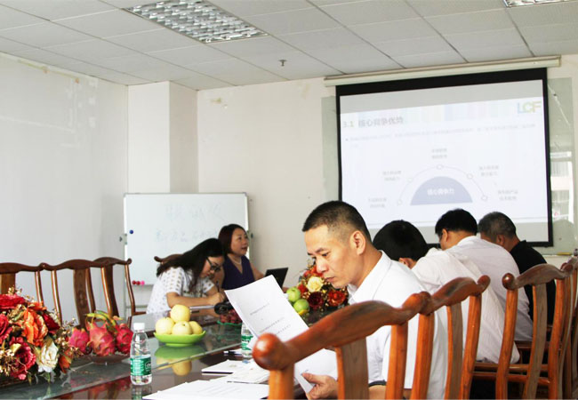 上市办领导听米兰milan创始人龙平芳女士做深度汇报